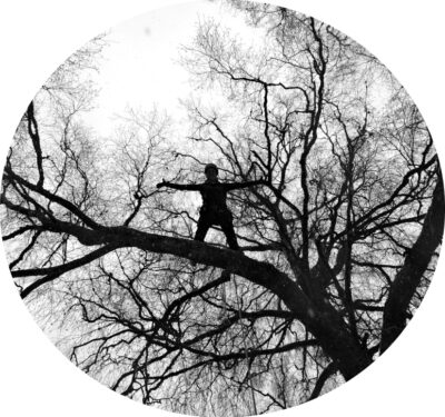 ©+Björken+treeclimbing+1_rund